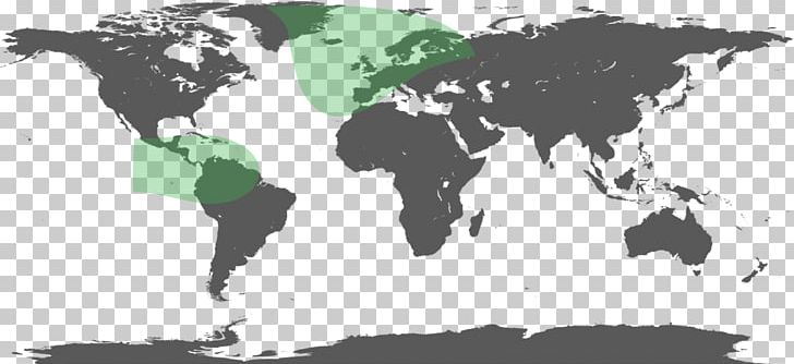 World Map Mapa Polityczna PNG, Clipart, Administrative Division, Black And White, Blank Map, Green, Horse Like Mammal Free PNG Download