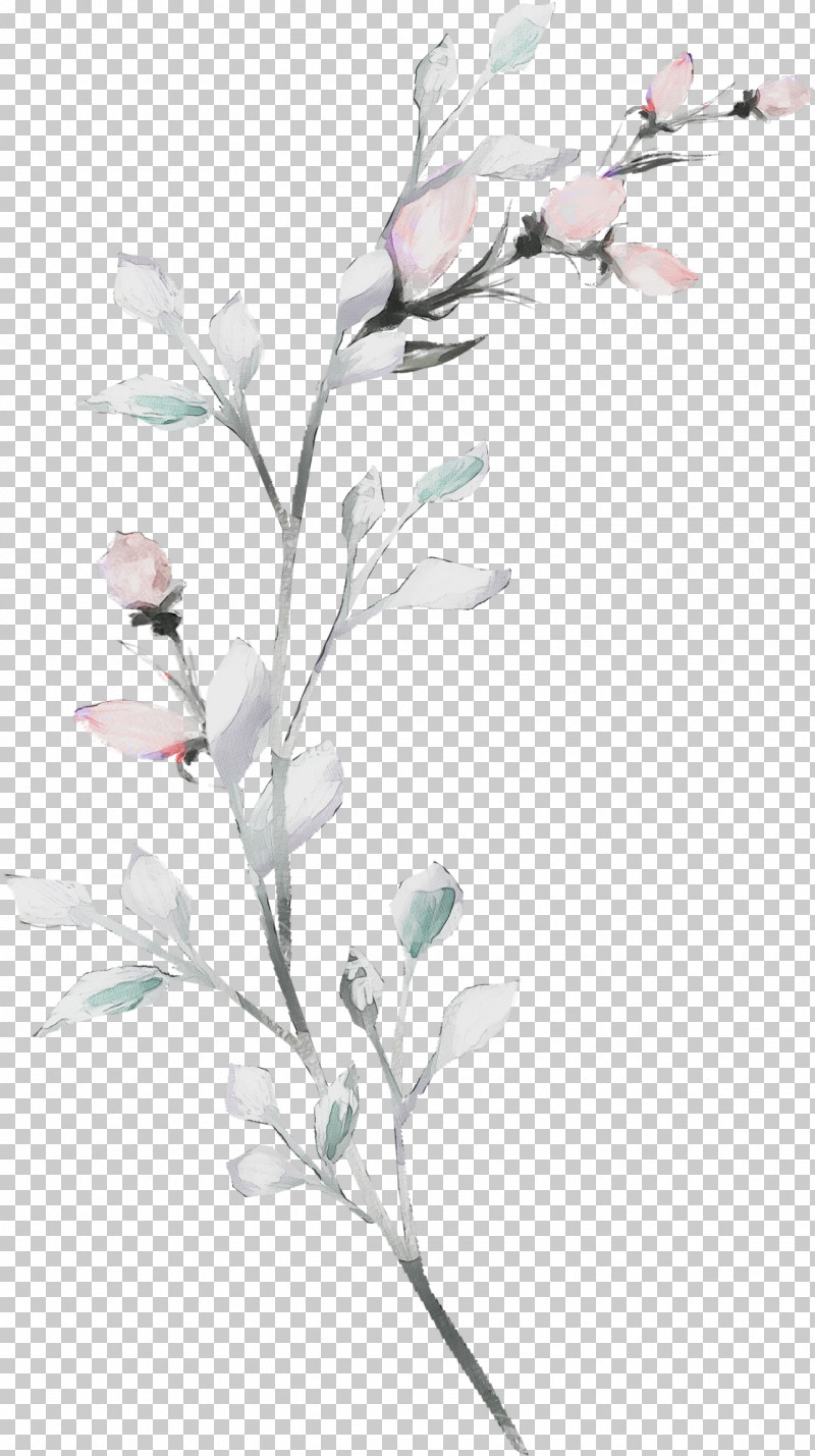 Floral Design PNG, Clipart, Biology, Floral Design, Flower, Lilac, Paint Free PNG Download