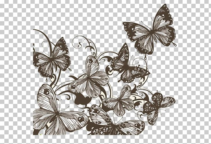 Butterfly Drawing Photography Shutterstock PNG, Clipart, Art, Black And White, Brush Footed Butterfly, Butterflies, Butterflies And Moths Free PNG Download
