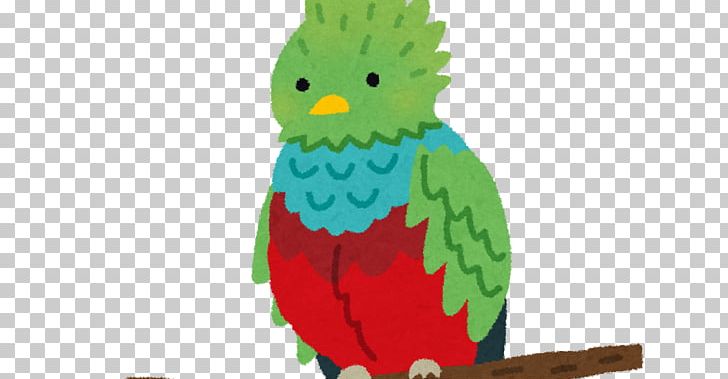 Resplendent Quetzal Bird Toucan Macaw Flowers PNG, Clipart, Beak, Bird, Blog, Common Pet Parakeet, Drawing Free PNG Download