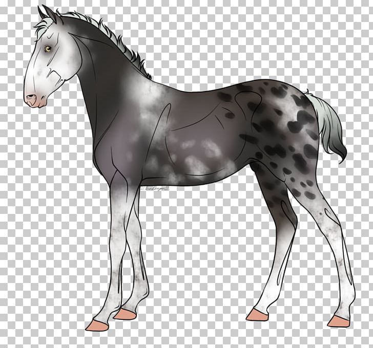 Stock Photography Ink Wash Painting Foal PNG, Clipart, Animals, Appaloosa, Bay, Bridle, Colt Free PNG Download