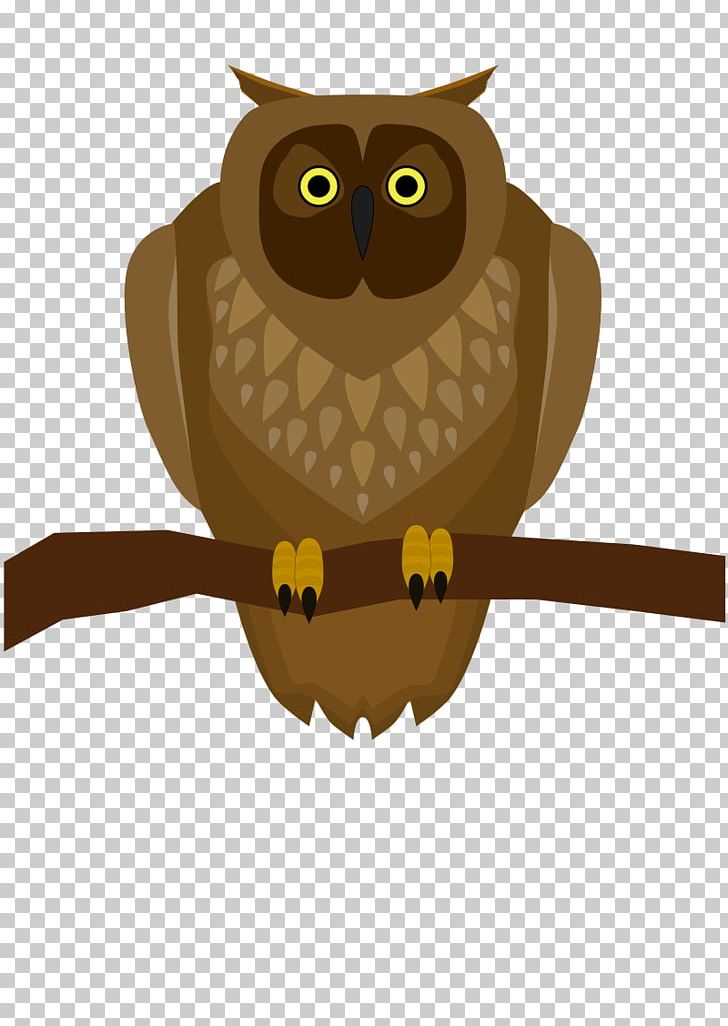 Owls In The Family Bird PNG, Clipart, Animal, Animals, Beak, Bird, Bird Of Prey Free PNG Download