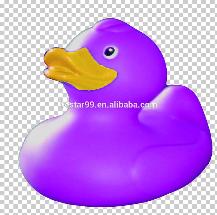 Rubber Duck Portable Network Graphics Natural Rubber Photograph PNG, Clipart, Beak, Bird, Download, Duck, Ducks Geese And Swans Free PNG Download