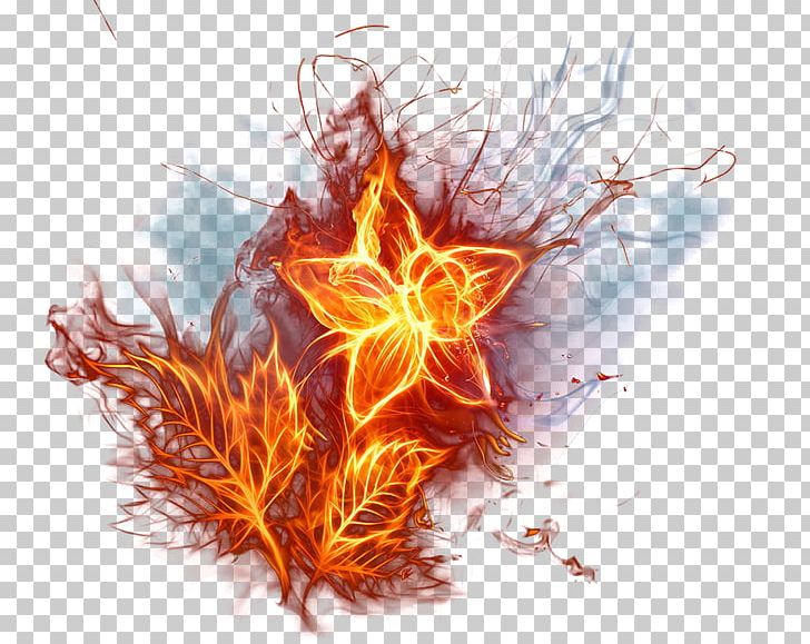 Fire Flame Light Flower PNG, Clipart, Colored Fire, Combustion, Computer Wallpaper, Cool Flame, Creative Free PNG Download