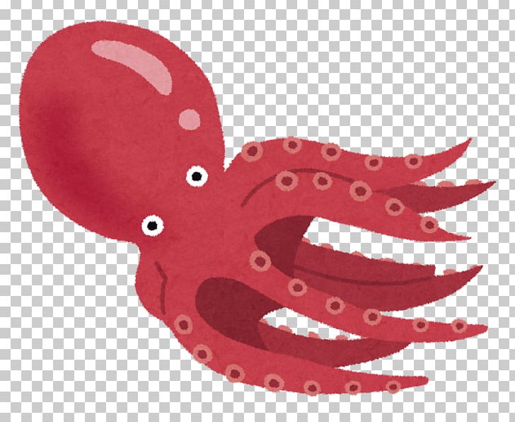 Octopus Squid Ikizukuri エギング (株)ハウスウェーブ PNG, Clipart, Angling, Blueringed Octopus, Cephalopod, Fishery, Fishing Baits Lures Free PNG Download