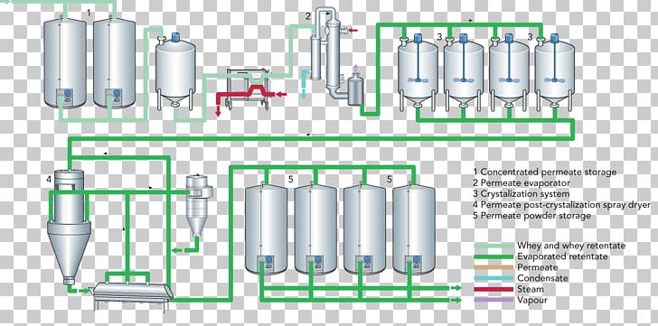 Whey Powdered Milk Dairy Food PNG, Clipart, Cylinder, Dairy, Dairy Industry, Dairy Products, Diagram Free PNG Download