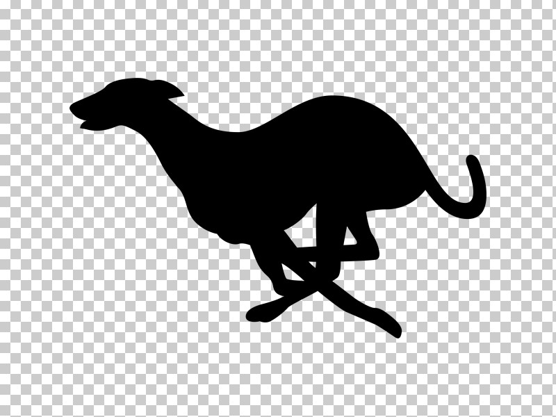 Dog Whippet Sighthound Italian Greyhound Silhouette PNG, Clipart, Dog, Italian Greyhound, Sighthound, Silhouette, Tail Free PNG Download