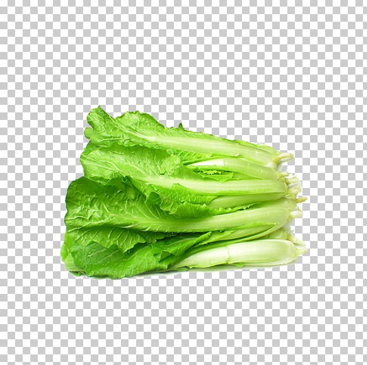Bok Choy Napa Cabbage Chinese Cabbage Vegetable Canola PNG, Clipart, Brassica, Brassica Rapa, Cabbage, Cellophane Noodles, Chard Free PNG Download