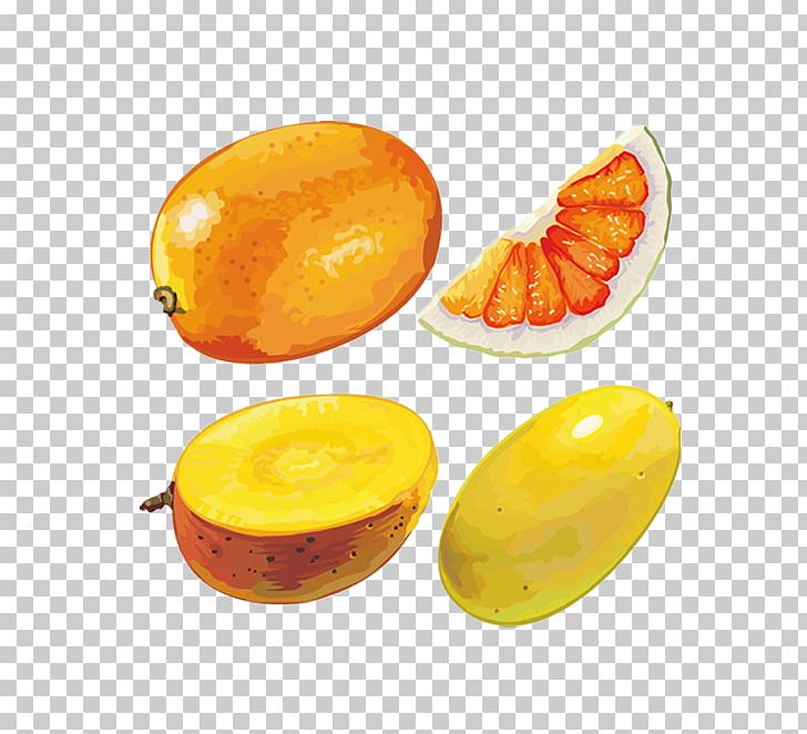 Cantaloupe Fruit Hami Melon PNG, Clipart, Download, Food, Fruit Nut, Melon, Muskmelon Free PNG Download