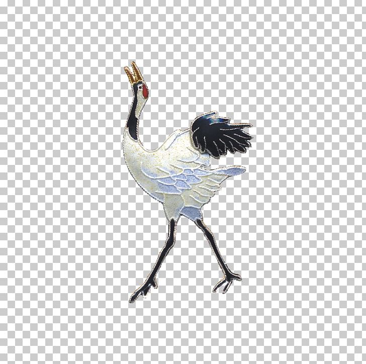 Water Bird Galliformes Beak Feather PNG, Clipart, Animals, Beak, Bird, Crane, Crane Like Bird Free PNG Download