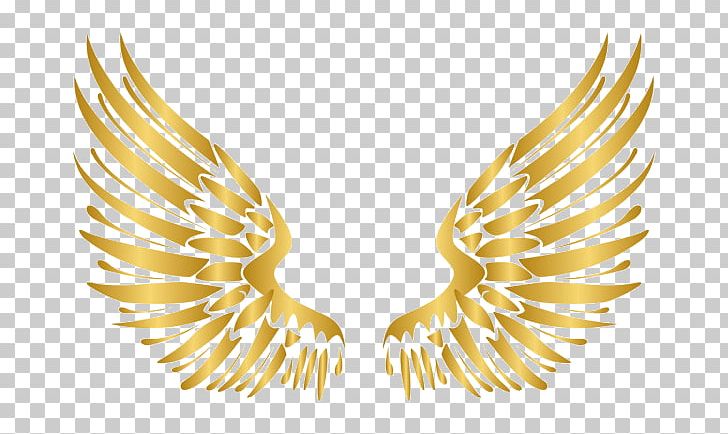 Gold PNG, Clipart, Beak, Gold, Jewellery, Neck, Others Free PNG Download