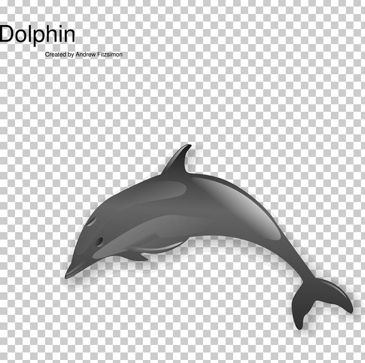 Spinner Dolphin PNG, Clipart, Automotive Design, Bottlenose Dolphin, Chinese, Common Bottlenose Dolphin, Common Dolphin Free PNG Download