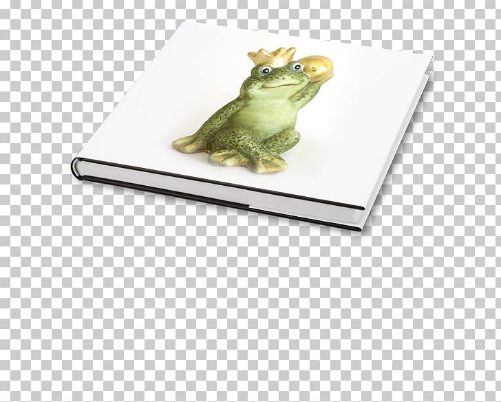 Tree Frog Rectangle PNG, Clipart, Ahabuch Gmbh, Amphibian, Animals, Fauna, Frog Free PNG Download