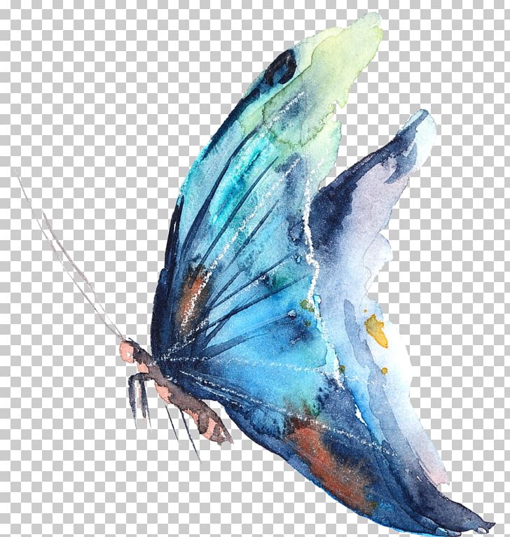 Butterfly Watercolor Painting Photography PNG, Clipart, Art, Burterfly Watercolor, Butterfly, Drawing, Fish Free PNG Download
