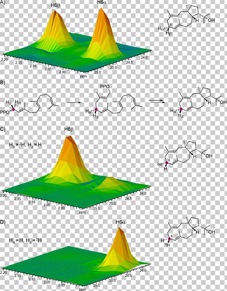 Mass Chromatogram Target Peptide Diterpene Leaf PNG, Clipart, Adenylyl Cyclase, Arabic Calligraphy, Area, Cone, Diagram Free PNG Download