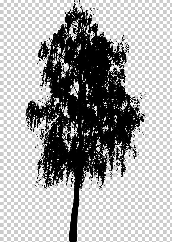 Silhouette Tree PNG, Clipart, Animals, Art, Birch Tree, Black And White, Branch Free PNG Download