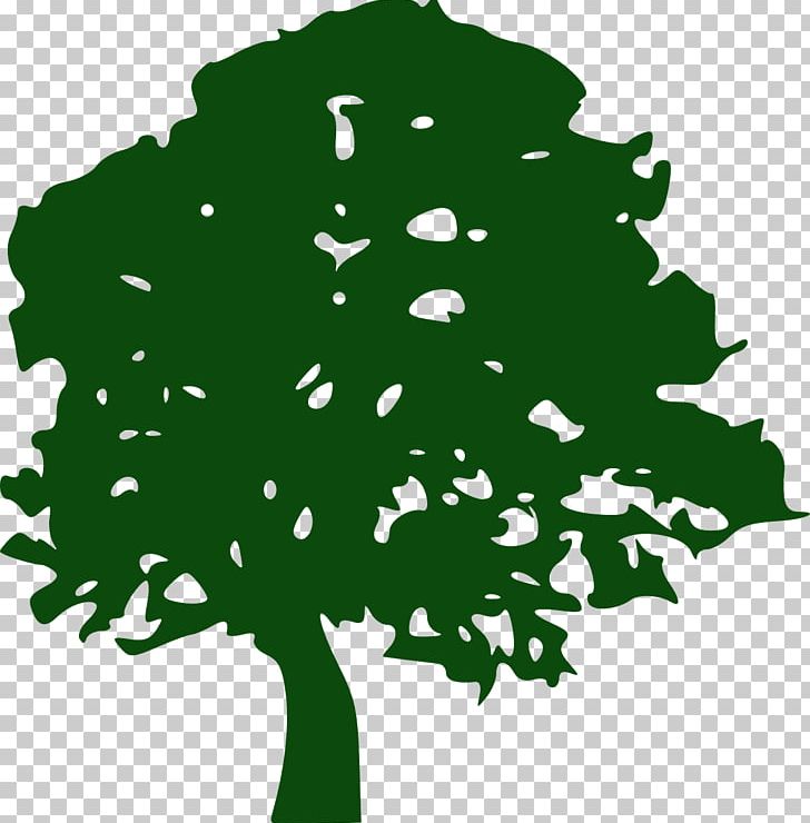Tree Pine Southern Live Oak PNG, Clipart, Blog, Branch, Grass, Green, Leaf Free PNG Download