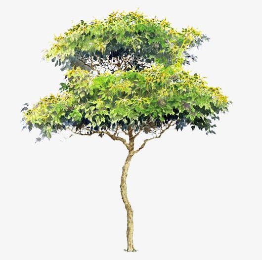 Trees Background Trees Transparent Element PNG, Clipart, Cartoon, Element, Hand Painted, Hand Painted Trees Pictures, Material Free PNG Download