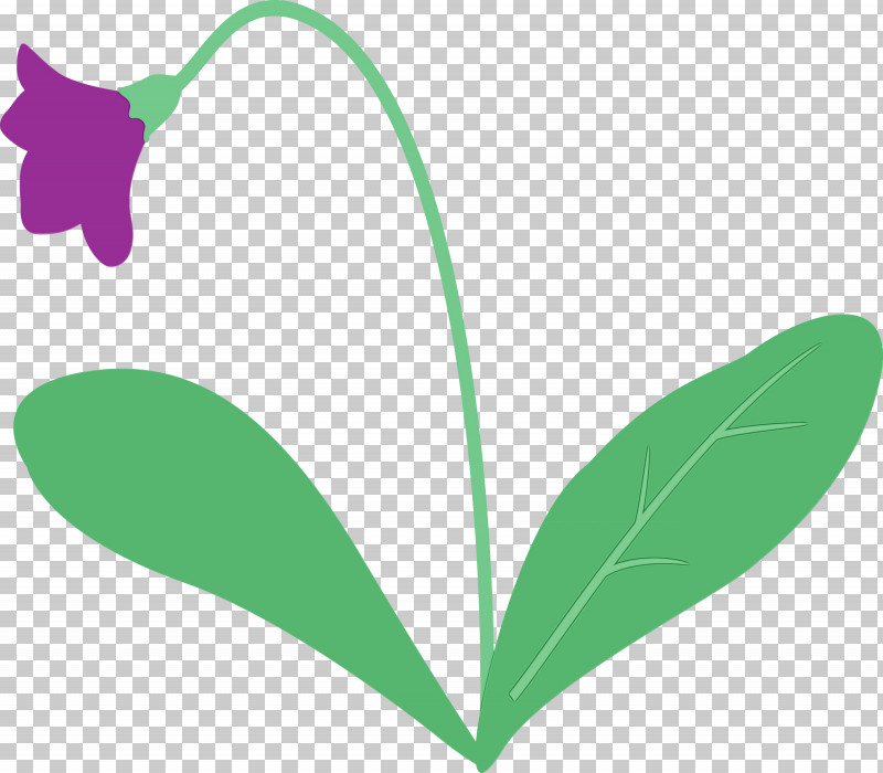 Leaf Plant Stem Flower Petal Green PNG, Clipart, Biology, Flora, Flower, Green, Leaf Free PNG Download