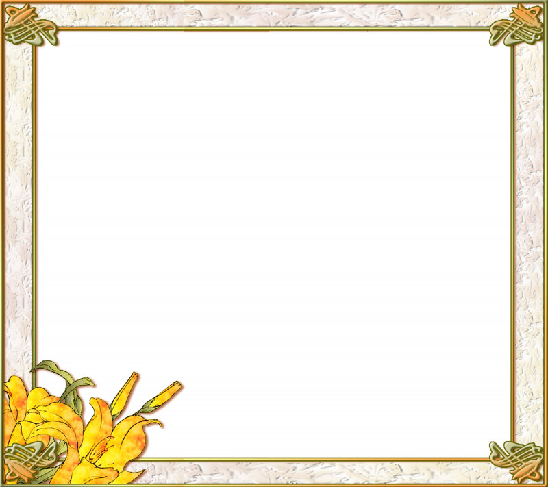 Lily Flower Frame Floral Frame PNG, Clipart, Floral Design, Floral Frame, Flower, Interior Design Services, Lily Free PNG Download