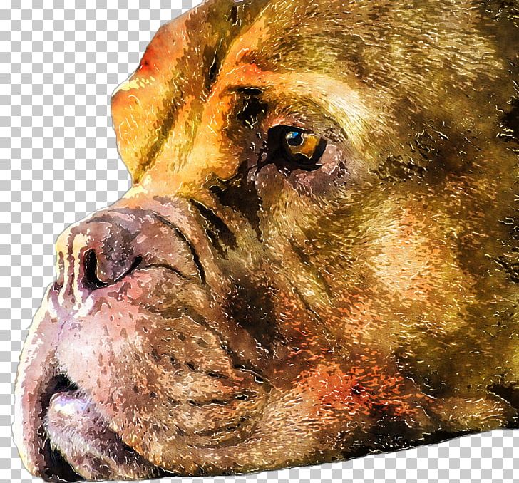 Dog Breed Boerboel Bullmastiff Lion Watercolor Painting PNG, Clipart, Boerboel, Breed, Bullmastiff, Cancer, Cancer Research Free PNG Download