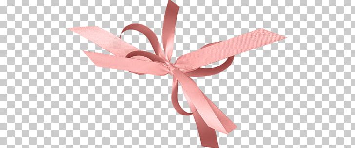 Ribbon Pink M PNG, Clipart, Objects, Petal, Pink, Pink M, Ribbon Free PNG Download