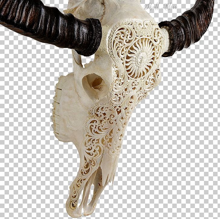 Horn Animal Skulls Bone Cattle PNG, Clipart, American Bison, Animal, Animal Skulls, Bone, Carving Free PNG Download