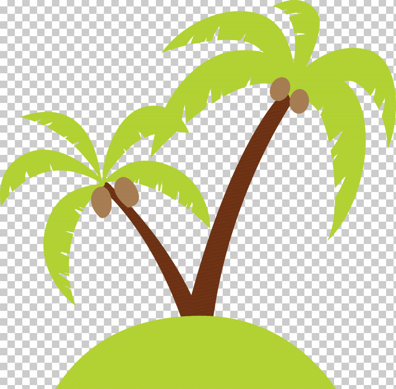 Palm Trees PNG, Clipart, Beach, Biology, Cartoon Tree, Fruit, Leaf Free PNG Download