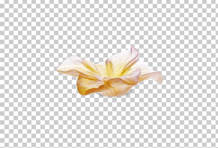 Amaryllis Cut Flowers Vase Petal PNG, Clipart, Amaryllis, Ambre, Amethyst, Butter Dishes, Cristallerie Free PNG Download