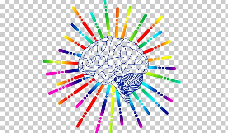 Human Brain Neuroscience Midbrain Biology PNG, Clipart, Anatomy, Area, Biology, Brain, Cerebellum Free PNG Download