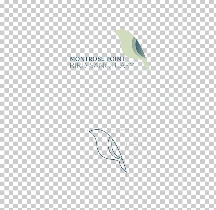 Logo Feather Green Font PNG, Clipart, Animals, Brand, Decade, Feather, Green Free PNG Download