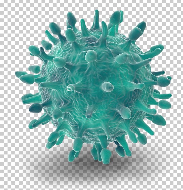 Organism Swine Influenza Ultraviolet Germicidal Irradiation Pathogen Industry PNG, Clipart, Aqua, Computer Programming, Disinfectants, Industry, Organism Free PNG Download