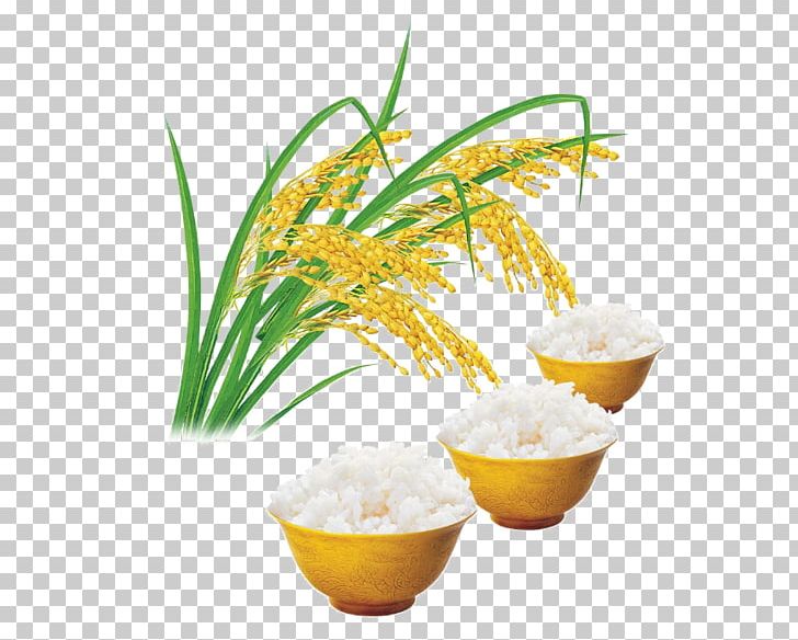 Indica Rice Mooncake Food Cereal PNG, Clipart, Arborio Rice, Aromatic Rice, Brown Rice, Caryopsis, Cereals Free PNG Download