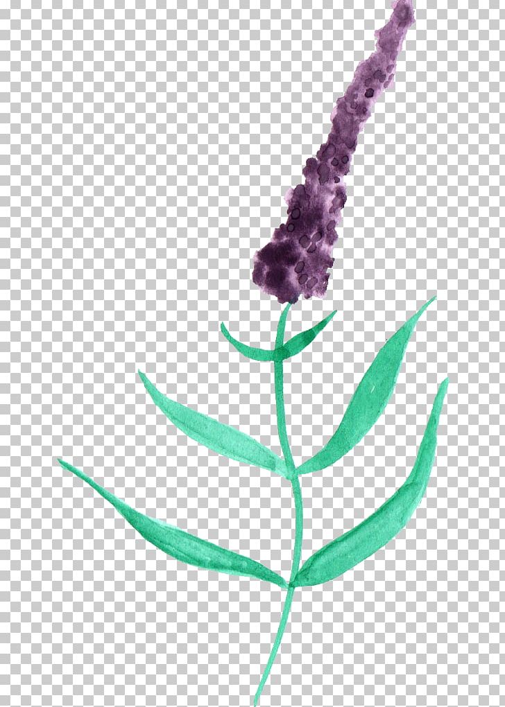 Lausanne Watercolor Painting Lavender Violet PNG, Clipart, Cosmetics, Display Resolution, Flower, Flowering Plant, Lausanne Free PNG Download