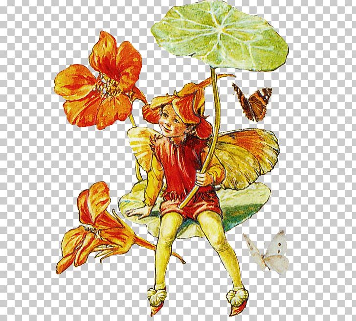 A Flower Fairy Alphabet The Book Of The Flower Fairies PNG, Clipart, Art, Cicely Mary Barker, Costume Design, Drawing, Fantasy Free PNG Download