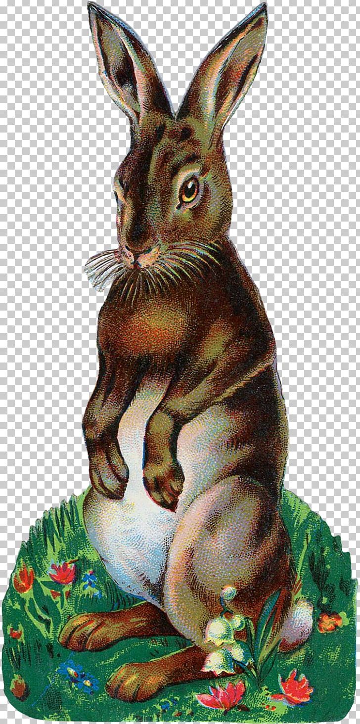 Easter Bunny Angora Rabbit PNG, Clipart, Angora Rabbit, Animals, Craft, Domestic Rabbit, Easter Free PNG Download
