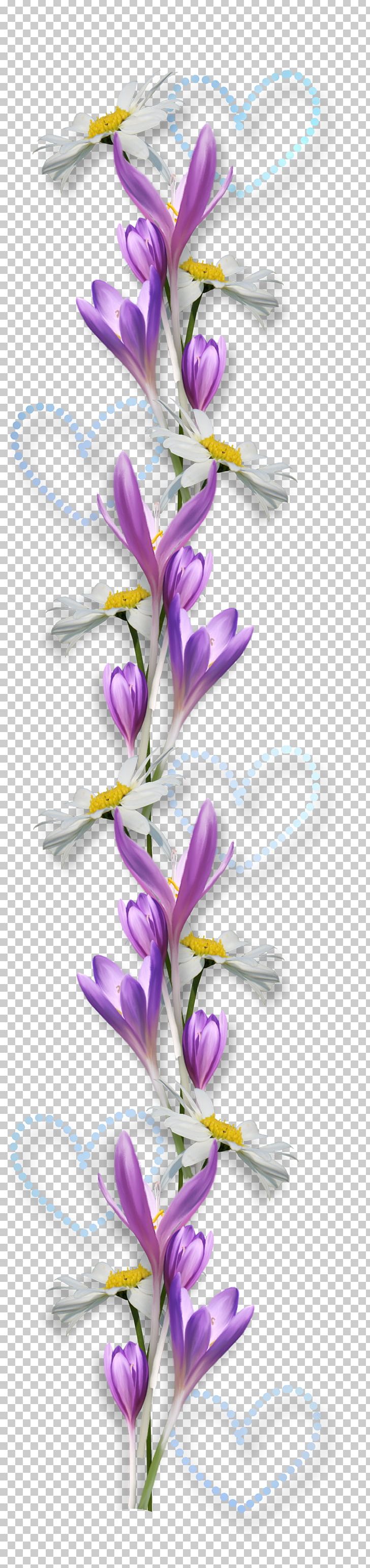 Flower PNG, Clipart, Cut Flowers, Dendrobium, Download, Flora, Floral Design Free PNG Download