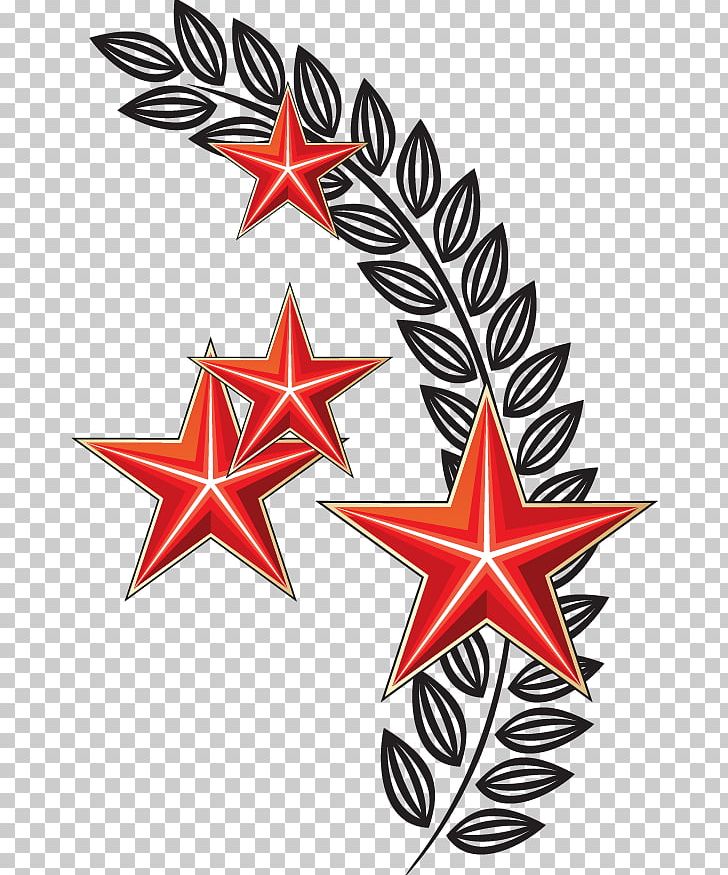 Russia Victory Day Holiday Drawing Medal PNG, Clipart, Country, Daytime, Flower, Hand Drawn, Happy Birthday Vector Images Free PNG Download