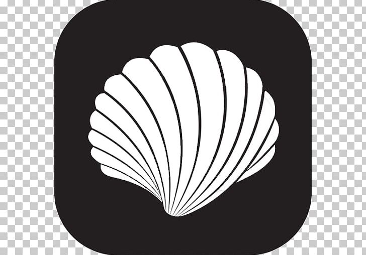 Seashell Scallop PNG, Clipart, Animals, App, App Store, Beach, Black And White Free PNG Download