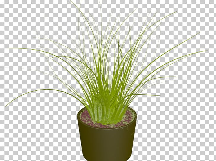 Abby Mallard Plant PNG, Clipart, Abby Mallard, Apple, Big Hero 6, Cement, Cement Mixers Free PNG Download