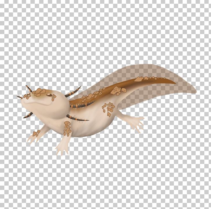 Lizard Terrestrial Animal PNG, Clipart, Animal, Animals, Fauna, Lizard, Organism Free PNG Download