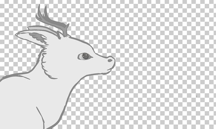 Hare Whiskers Macropodidae Mammal Canidae PNG, Clipart, Artwork, Black And White, Canidae, Carnivoran, Cartoon Free PNG Download