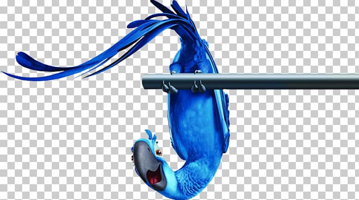 Rio Film PNG, Clipart, Animated Film, Animation, Blue, Cartoon, Character Free PNG Download