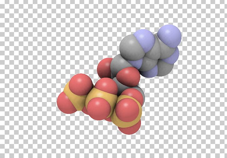 Adenosine Triphosphate Adenosine Diphosphate Electron Transport Chain PNG, Clipart, Adenosine, Adenosine Diphosphate, Adenosine Monophosphate, Adenosine Triphosphate, Atp Free PNG Download