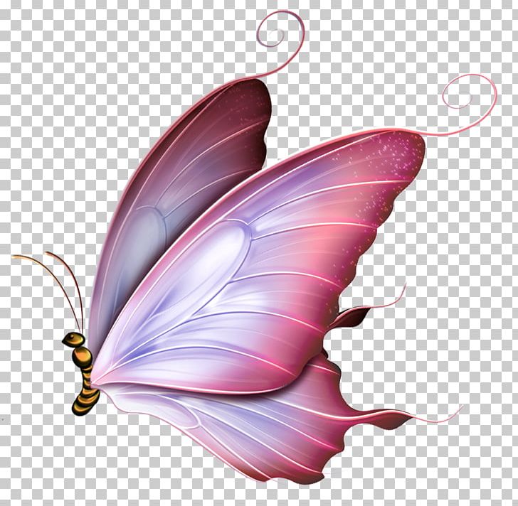 Butterfly Drawing Borboleta PNG, Clipart, Abziehtattoo, Applied Arts, Borboleta, Butterflies And Moths, Butterfly Free PNG Download