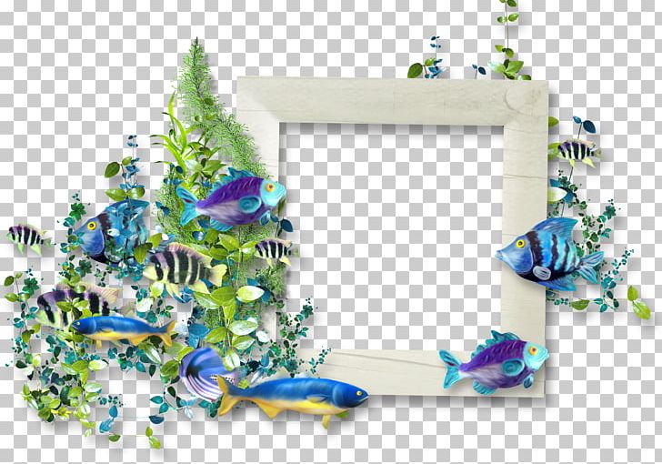 Frame Sea Hosting Service PNG, Clipart, Animals, Blue, Box, Boxing, Cardboard Box Free PNG Download