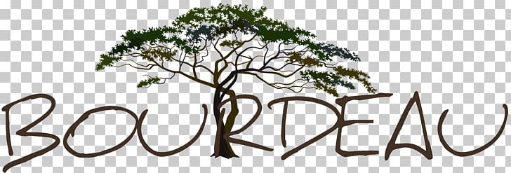 Twig Savannah Tree Foundation PNG, Clipart, Black And White, Branch, Brand, Calligraphy, Desktop Wallpaper Free PNG Download