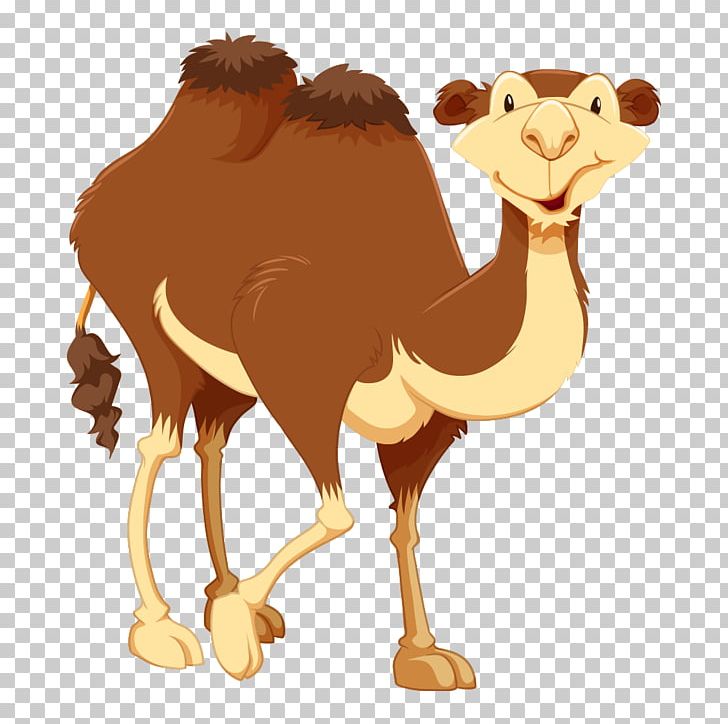 Bactrian Camel Cartoon PNG, Clipart, Animal, Animals, Arabian Camel, Balloon Cartoon, Boy Cartoon Free PNG Download