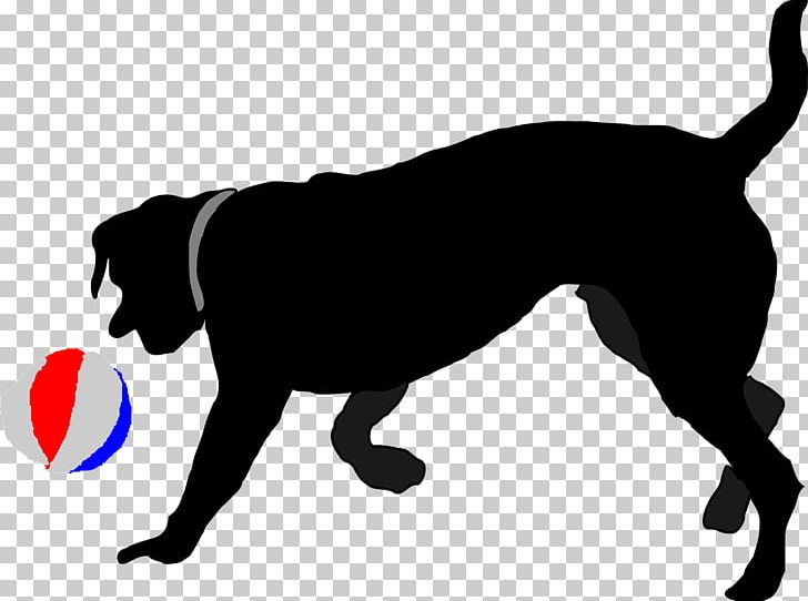 Labrador Retriever Puppy Ball PNG, Clipart, Animal, Animals, Background Black, Ball, Black Free PNG Download