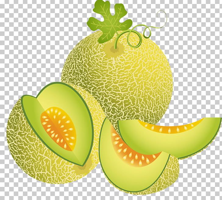 Cantaloupe Melon Illustration PNG, Clipart, Background Green, Cantaloupe, Cucumber Gourd And Melon Family, Diet, Encapsulated Postscript Free PNG Download